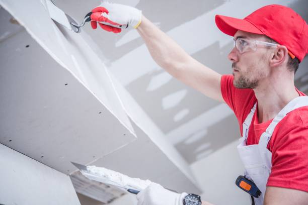 Best Ceiling Drywall Installation  in Zolfo Springs, FL